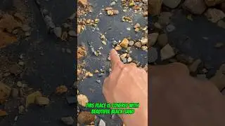 #goldrush 2025 Prospecting for placer gold in black sand it truly is the perfect material!
