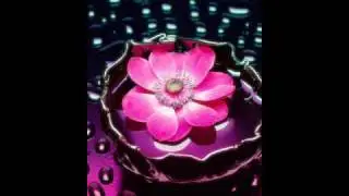 Egyptian music: Omar Khairat ( Don't lose your mind )