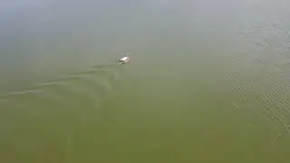 Армавир, водохранилище, рыба