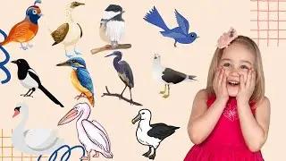 учим названия птиц для детей | узнаем о птицах | птицы