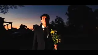 The Colour Violet - VCE SHORT FILM 2024