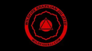 The Best Martial Art for Multiple Attackers