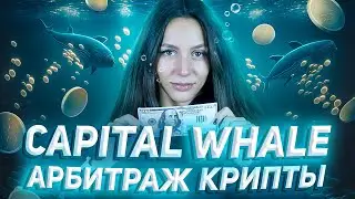 🐳 Capital Whale - Запуск арбитражного сервиса | Бонус $100 пробных средств на тестирование!