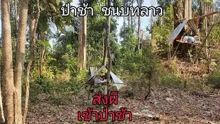 ป่าช้าชนบทลาว