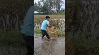 🤣Best Polo Fishing Video You'll Watch Today! #shorts #fish #trending #viral