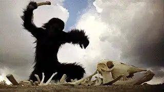 2001: SPACE ODYSSEY - edit