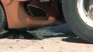 fail of the month - Volvo's crash avoidance technology!