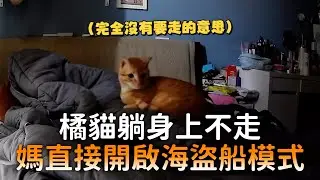 橘貓躺身上不走 媽直接開啟海盜船模式