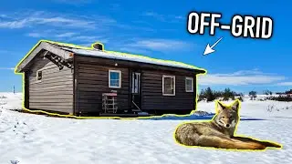 Winter Camping In Tiny Off-Grid Cabin In The Woods! (Dangerous Conditions)