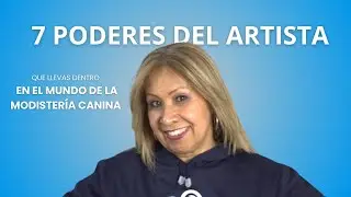 DOGGY FASHION - Modister&iacute;a Canina