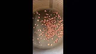 Freeze Dried Pet Foods Filquip Vacuum Conveyor Trial