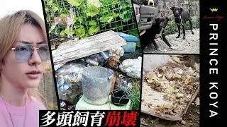 【多頭飼育崩壊】他人の家を不法占拠し、飲食店から出た生ゴミを飼い犬に与える飼い主を直撃‼︎【閲覧注意】