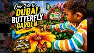 We visited The biggest butterfly garden in Dubai | සමනලයෝ මෙච්චර ගොඩාක් එකම තැනක දැක්කාමයි 🦋