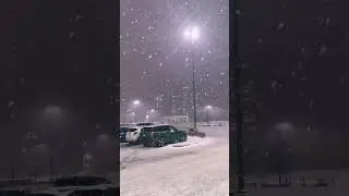 2026 Snowflakes #trend #shorts #shortsvlog #music #canada #weather #nature #india #winter #viral
