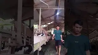 RUTINITAS SEHARI-HARI 