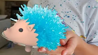 Crystal Hedgehog Growing **HOW TO**