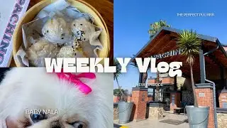 WEEKLY MINI VLOG: Camp shopping, Lunch, night market with friends, SA Lesbian Couple | SA YouTubers