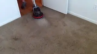 Oreck Orbiter Bonnet Cleaning 3 Rooms In Apt 611-2