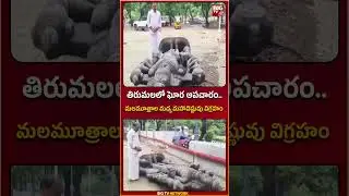 TTD News :  AP | TTD   తిరుమలలో ఘోర అపచారం   | BIG TV
