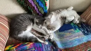 Side by side in softness