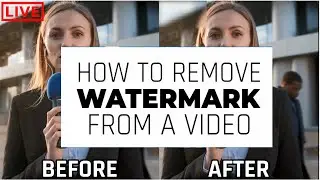 How to Remove Watermark From Video