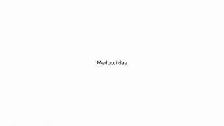 Merlucciidae PRONUNCIATION