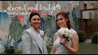 Almond & Bridgette Wedding Teaser Video | Chicago, IL | 04.18.24