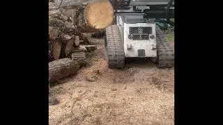 Ported stihl ms200t vs triple exhaust port craftsman 2.2 36cc cutting maple info in description ￼