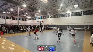 SFV 17 Gold vs SFV 17 Black