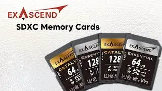 Exascend | SDXC Memory Cards