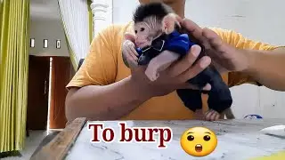 Sorry its not abus1ng,, its my ways to make baby monkey libby burp after drink. Its to stop vomit.