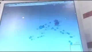 Diep.io #2 support [MG] clan
