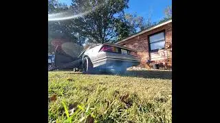 '86 Z28, Custom 3