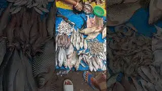 #fishmarket@Highlight#morning viral video##fish