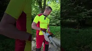 Stihl M-Troninc Kalibrierung in der Theorie #motors&auml;ge #kettens&auml;ge #stihl #shorts