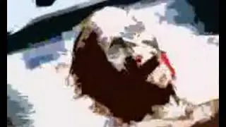 zombieflesheater visual