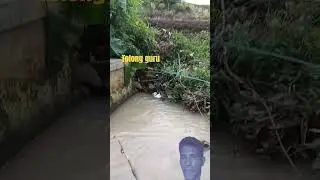 mancing diparit #mancing #pemandangansungai #mancingmania #fishing