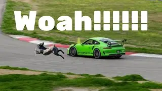 DOG IS FASTER THAN A RACE CAR!!!!