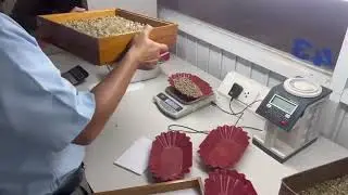 GOODS INSPECTION - GREEN COFFEE PRODUCTION PROCESS