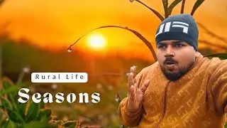 Real Village Life in Winter & Summer ❄️☀️ | Punjabi Rural Life | India 