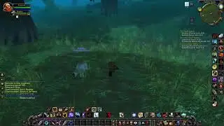 Hardcore World of Warcraft - Xitwound Leveling