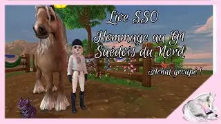🔴 Live FR SSO - Achat en groupe hommage  g1 - serveur 5 Frozen Fiel - [Star Stable Online]