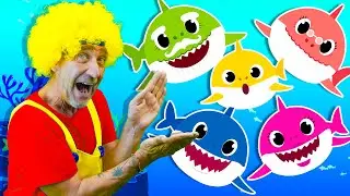 Baby Shark Dance Party | Kids Songs & Nursery Rhymes | Bobby Kids Songs
