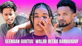♦️SEENAAN GUUTUU  WALIIN BEEKA BARBAADUF