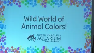 Washington summer reading program kicks off at NC Roanoke Island Aquarium