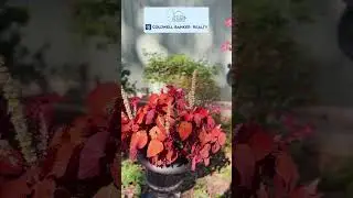 Walking through Mt. Tabor, New Jersey! with Janis Alfano