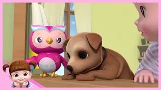 Hora del cachorro | Kongsuni y sus Amigos | Kongsuni en españolDibujos animados para niños