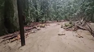 Ross creek trail and nature loop junction 