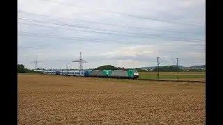 [VLEXX Hamster] IRP 186 218-4 mit  Railtraxx 186 206-9 und zwei neuen VLEXX 8442 in Bad Vilbel