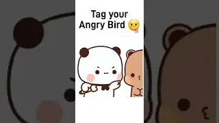Angry Bird 👿 #viral #bubududu #peachgoma #bearpanda #milkmochabear #shorts
